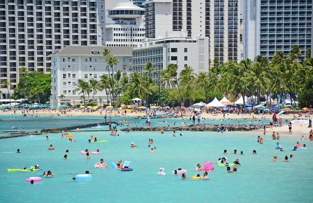 Waikiki Banyan #3810-T2-1