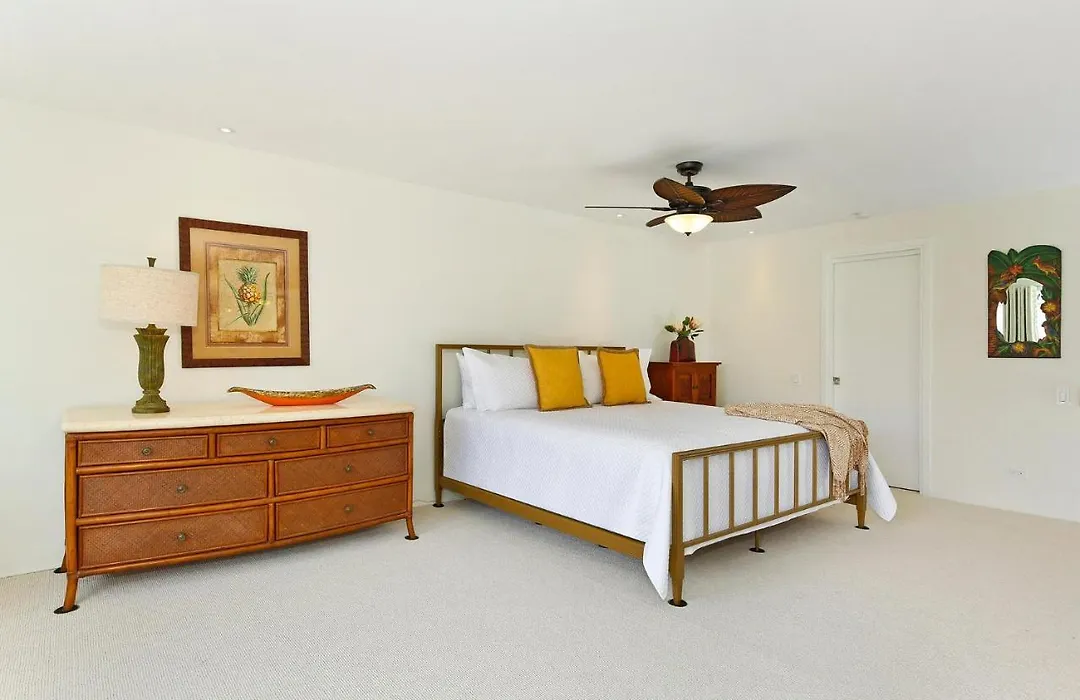 Colony Surf #409-1
