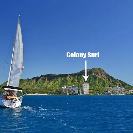 Colony Surf #409-2
